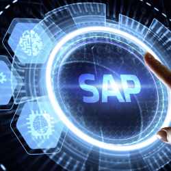 Máster en Sistemas de Gestión Integrada - SAP